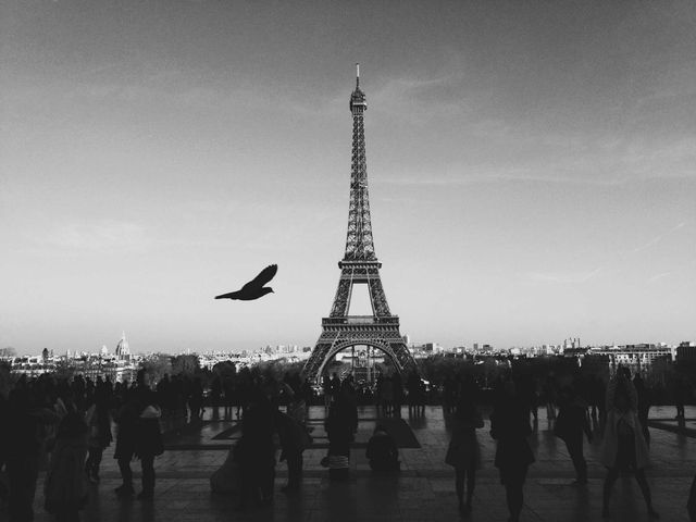 The Eiffel Tower in black and white, birds crossing the sky.