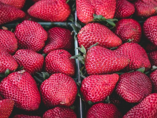 Strawberries on the vine, red against green leaves.